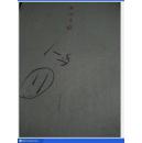 浙江日报1961年7月(1日--31日)---8月(1日--31日) 合订本 馆藏