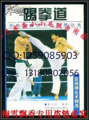 踢拳道-所向披靡的日本肘膝功夫 董子红 90年代绝版保原版正版老版武术 WM