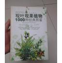 观叶观果植物1000种经典图鉴