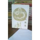 血鹦鹉