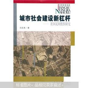 城市社会建设新杠杆:社区民间组织研究