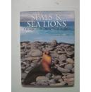 SEALS & SEA LIONS A PORTRAIT OF THE ANIMAL WORLD(海豹和海豹是动物世界的肖像)8开硬精装