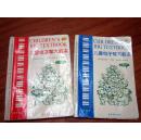 儿童电子琴大教本 （上、下册）: 2010最新版