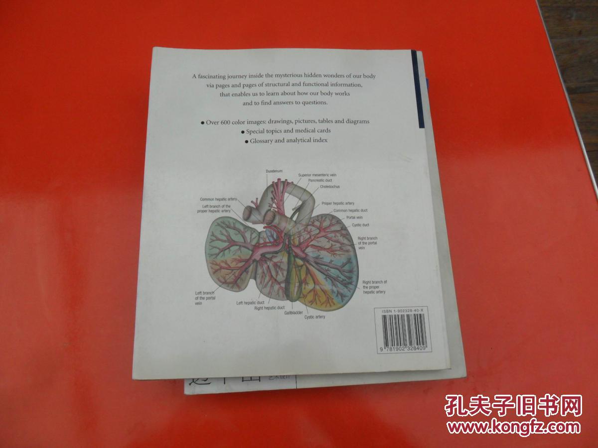 ATLAS OF  ANATOMY（英文原版彩色解剖图谱）