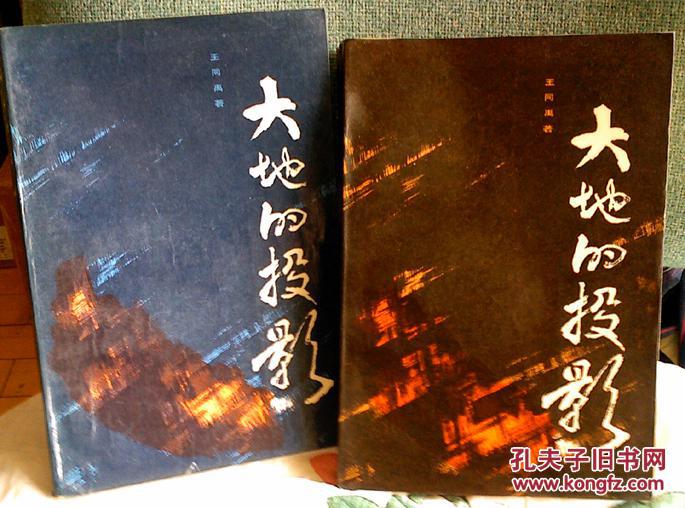 大地的投影(上下) 赵华胜 插图    (10品非馆藏)