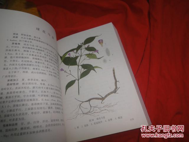 实用中草药彩色图集（第三册）