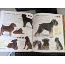 《最新犬百科全书》，416页
