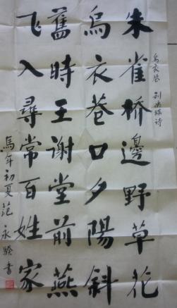 中国书画家协会会员 范永骙 书法(两幅合售）