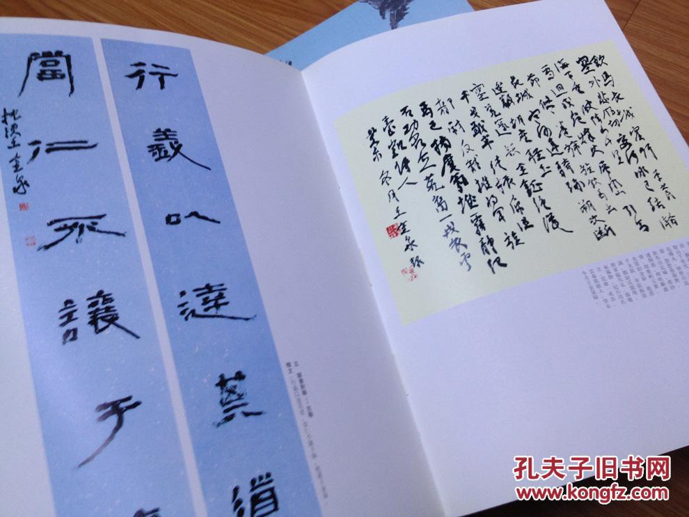 《枕溪------王金泉书法艺术》太和县籍书法名家，阜阳市书法家协会主席，品好，现货！！