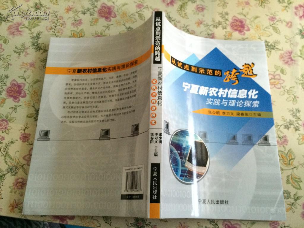从试点到示范的跨越:宁夏新农村信息化实践与理论探索