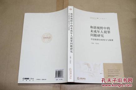 和谐视野中的未成年人犯罪问题研究：中法检察官的努力与探索