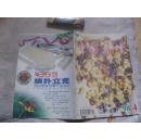 中国养蜂（双月刊）1998年第4期