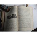 Allgemeine Geichichte 1.2.3（清光绪二十七年1901年）精美插图