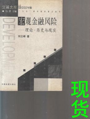 宏观金融风险：理论·历史与现实（2000年版）