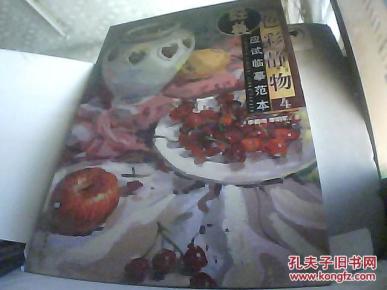 色彩静物；经典应试临摹范本4  【货号铁架3】