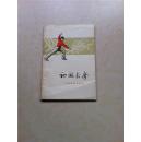 初级长拳