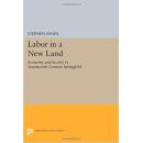 Labor in a New Land: Economy and Society in Seventeenth-Century Springfield