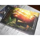 The Chronicles of Narnia  纳尼亚传奇  （一本全）  英文原版  正版 16开本
