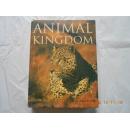 28509《ANIMAL KINGDOM》动物王国