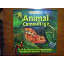 3-D Close Up: Animal Camouflage