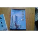 攀钢视窗（创刊号）