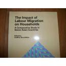 The Impact of Labour Migration onHouseholds：A Comparative Study in Seven Asian Countrie（劳动力迁移对家庭的影响）