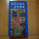 实用中草药彩色图集.第六册