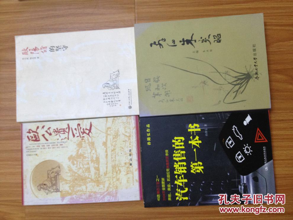 阜南县拔贡《飞仙朱炎昭》（一版一印！）