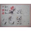 花鸟草虫画法入门（活页20张全）[馆藏]