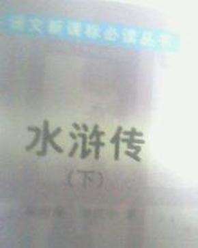 语文新课标必读丛书——水浒传（上下册）2003年出版