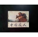 中国猿人
