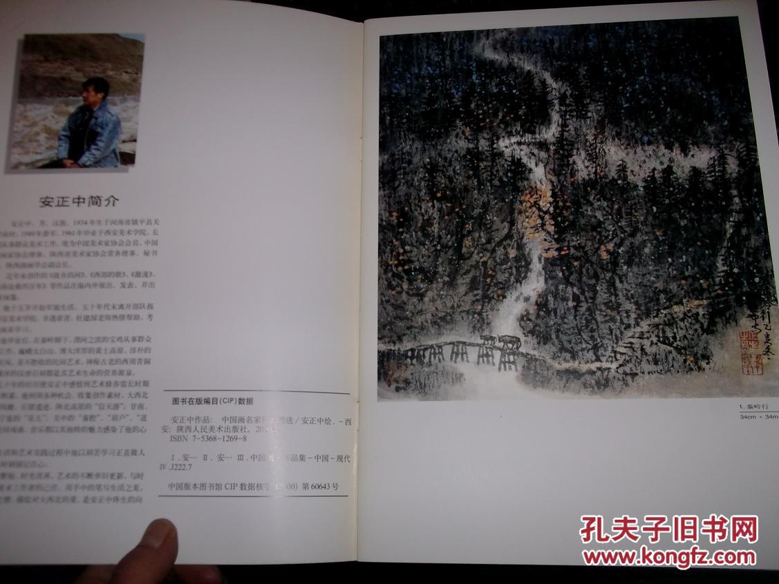安正中作品（中国画名家作品精选）
