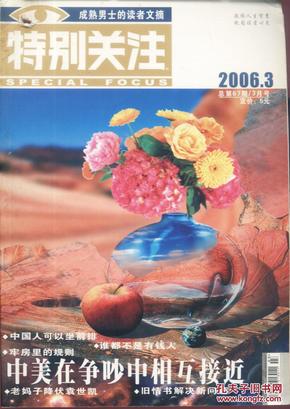 特别关注 2006-3