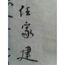 任家建：书法：杜甫诗一首（之二）