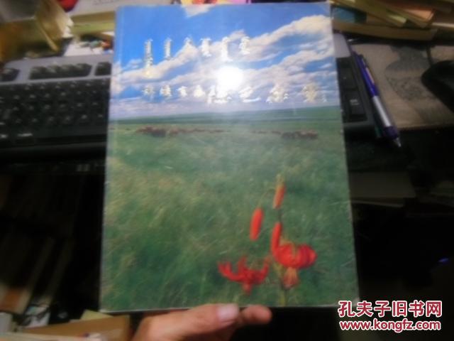 錦繡草原陳巴爾虎
