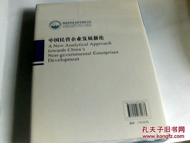 中国民营企业发展新论【精装】
