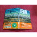 日本日文原版书地をはぅ风のょぅに   精装32开