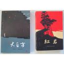 红岩 大后方（2本合售）有插图