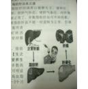 陆荣森《中医健康指南》上海科学技术出版社9品 现货 收藏 投资 怀旧 亲友商务礼品