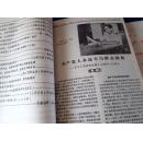 复印报刊资料【中国共产党】1981年 1982年
