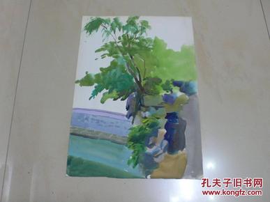 水彩写意（老画家齐悦八十年代作品，背面有钢笔速写）。