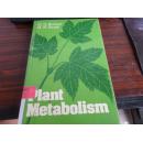 【香港理工大学馆藏】Plant Metabolism