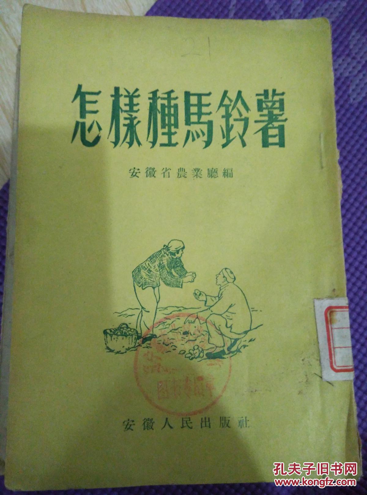 怎样种马铃薯
