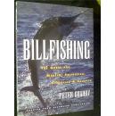billfishing【长嘴鱼】