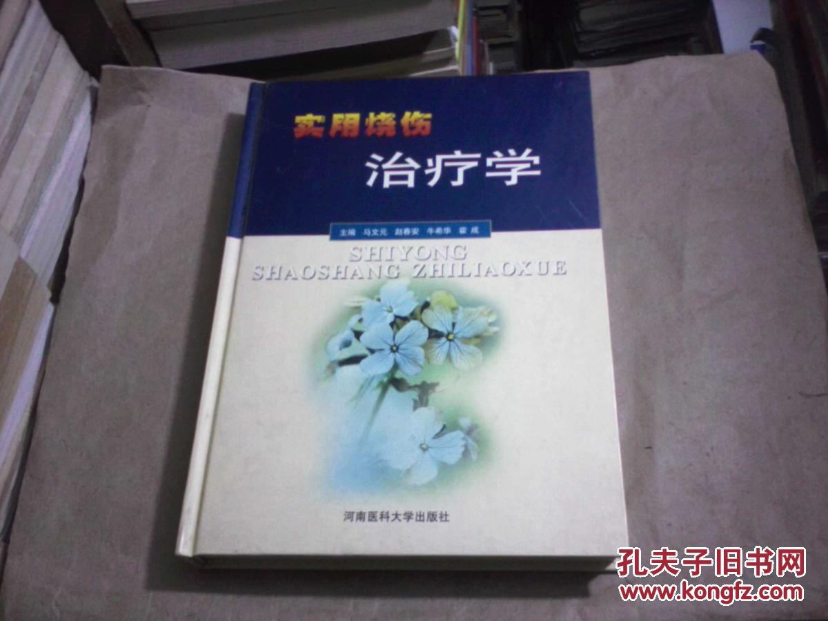 实用烧伤治疗学（16开精装本）