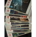 科学画报1982年1-12期少第11期 共11本合售