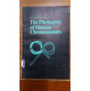 [英文原版影印]The Phylogeny of Human Chromosomes 人类染色体的系统发生（平装）