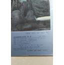 当代名家青绿山水精品薛亮画集