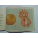 湖南柑桔良种 1966年1版1印  有彩色图谱
