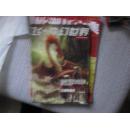 飞奇幻世界2007年第4期